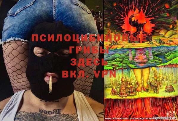 ALPHA-PVP Алексин